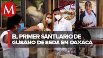 Oaxaca cuenta con el primer Santuario del gusano de seda en México