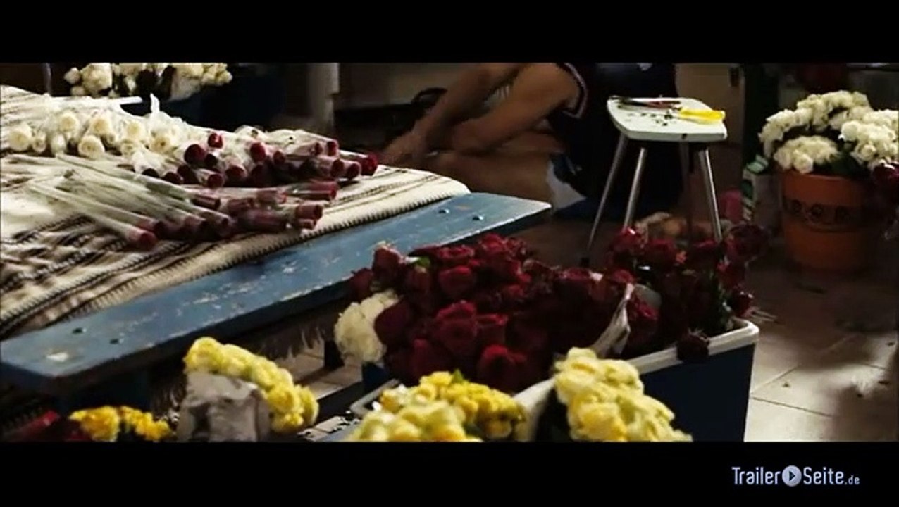 Ausschnitt aus Amador Und Marcelas Rosen: neuer Job