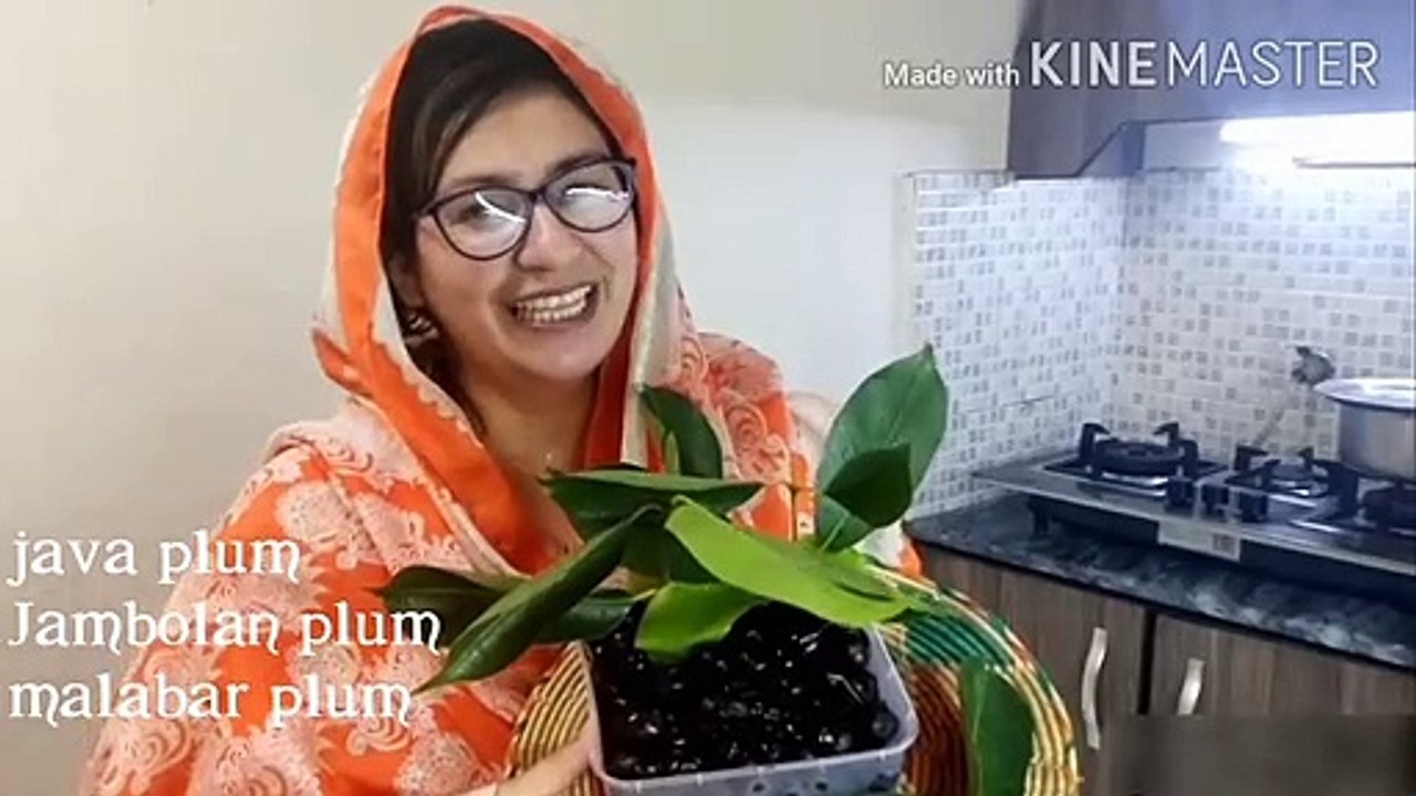 Jamun ka sharbat -Jamun juice - Fresh jamun juice - energy boost drink recipe in urdu and hindi