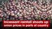 Incessant rainfall shoots up onion prices in parts of country