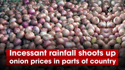 Incessant rainfall shoots up onion prices in parts of country