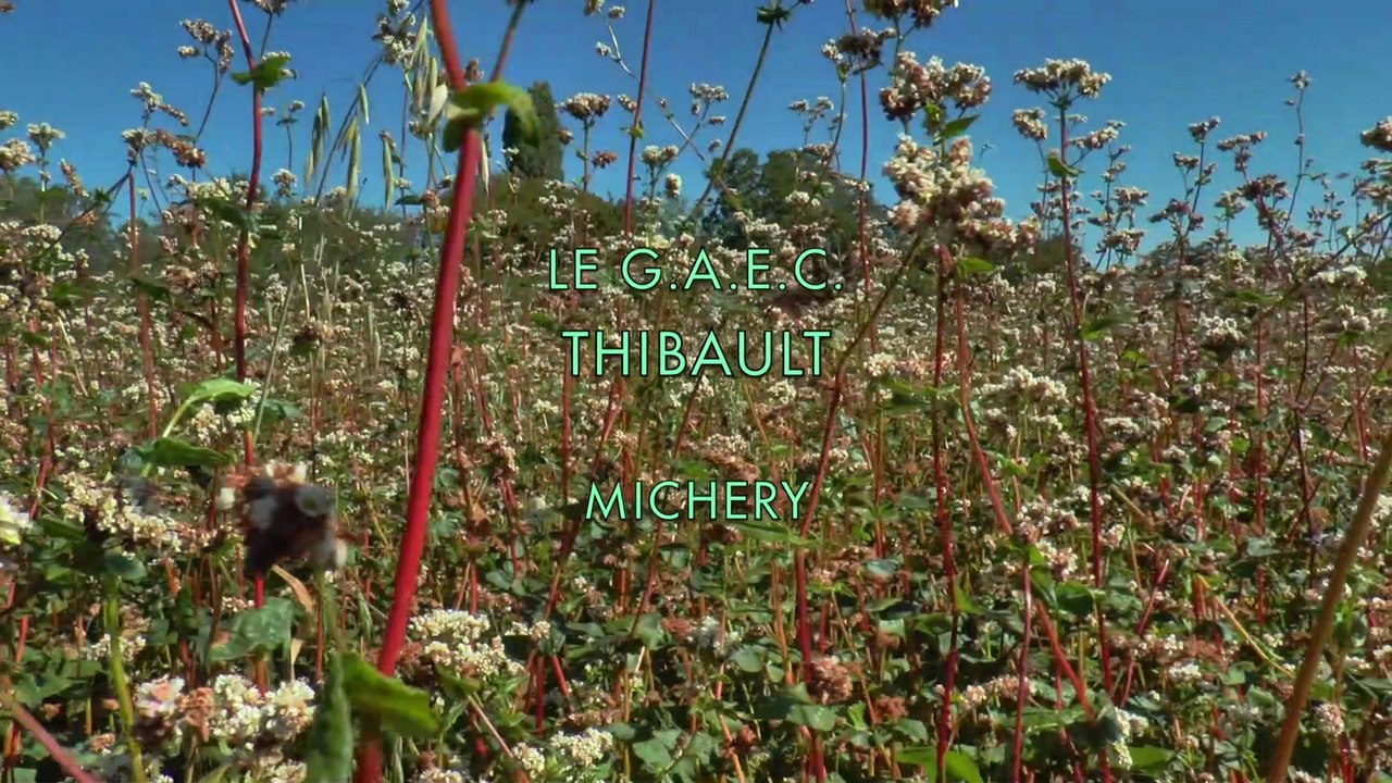 LE GAEC THIBAULT - MICHERY