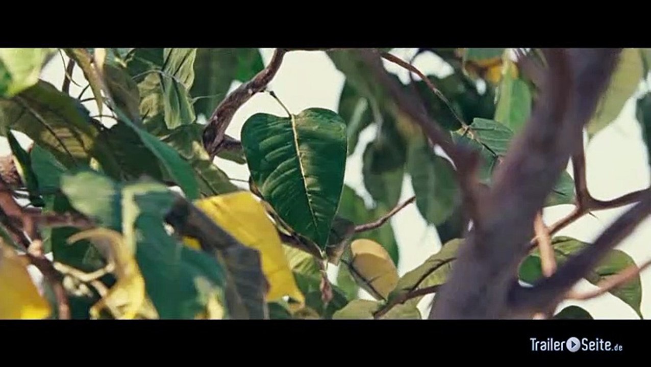 Ausschnitt aus Noch Tausend Worte: Übrig