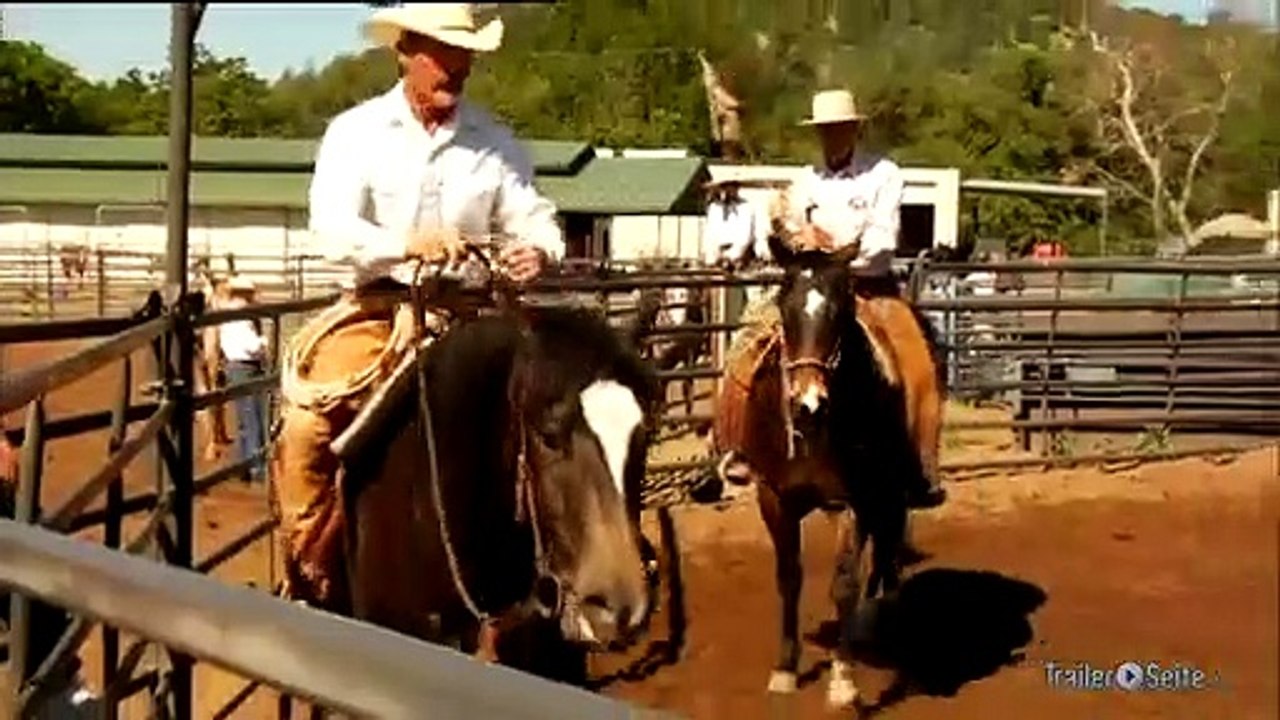 Ausschnitt aus Buck: Lernen