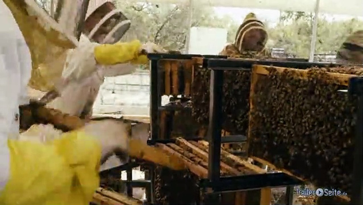 Dritter Ausschnitt zu More Than Honey