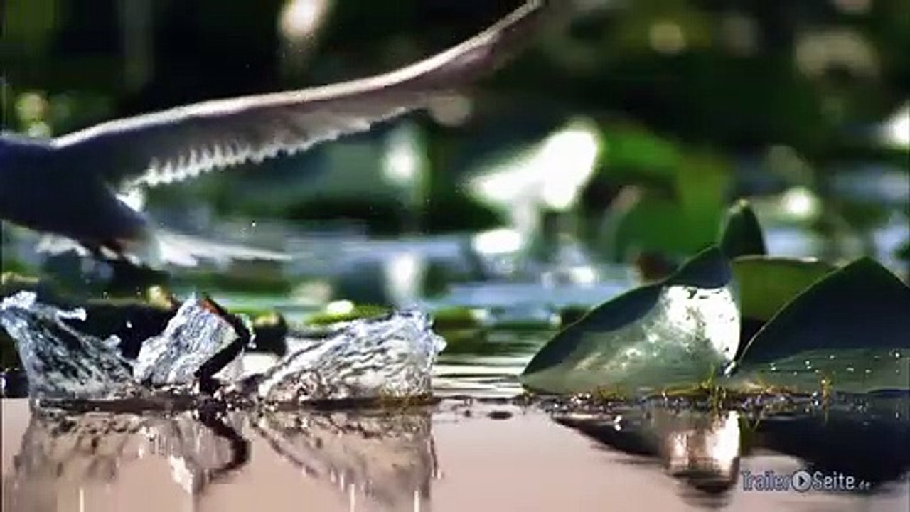 Donau Lebensader Europas Trailer (2012)