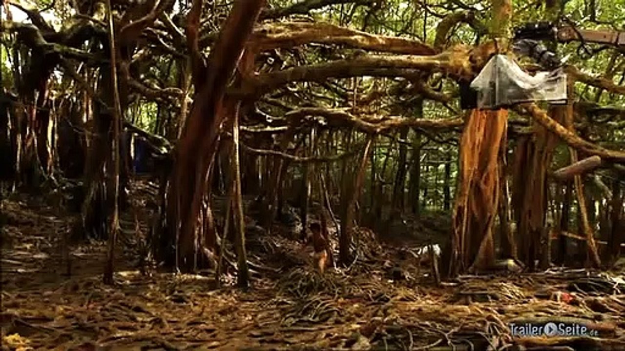 Backstage Blick zu Life Of Pi