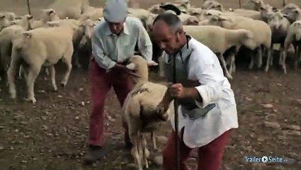 Sleepless Knights Trailer (2013)