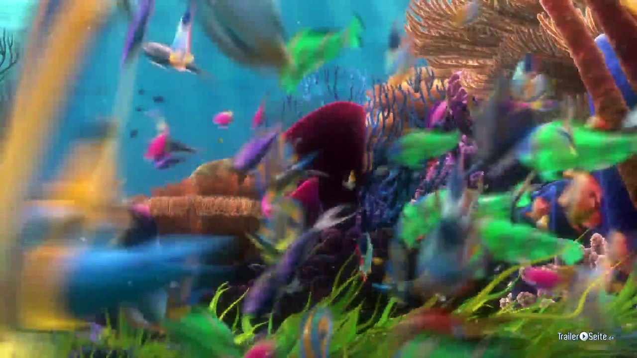 Findet Nemo Quiz Battle