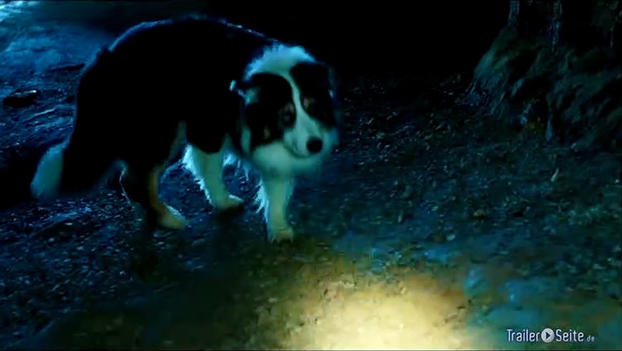 Ausschnitt aus Fünf Freunde 2: Falsche Fährte