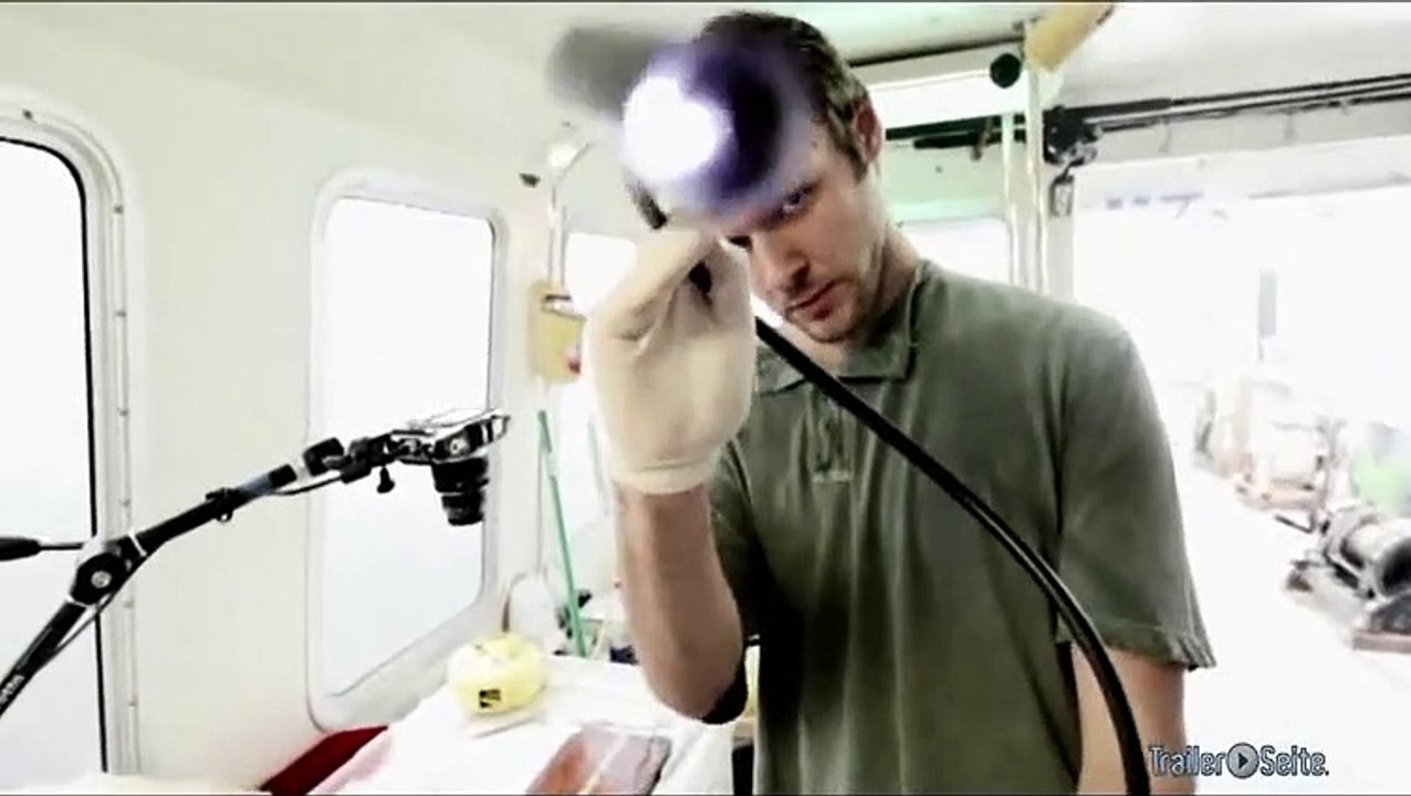 Ausschnitt aus The Bay: Parasitenlarven