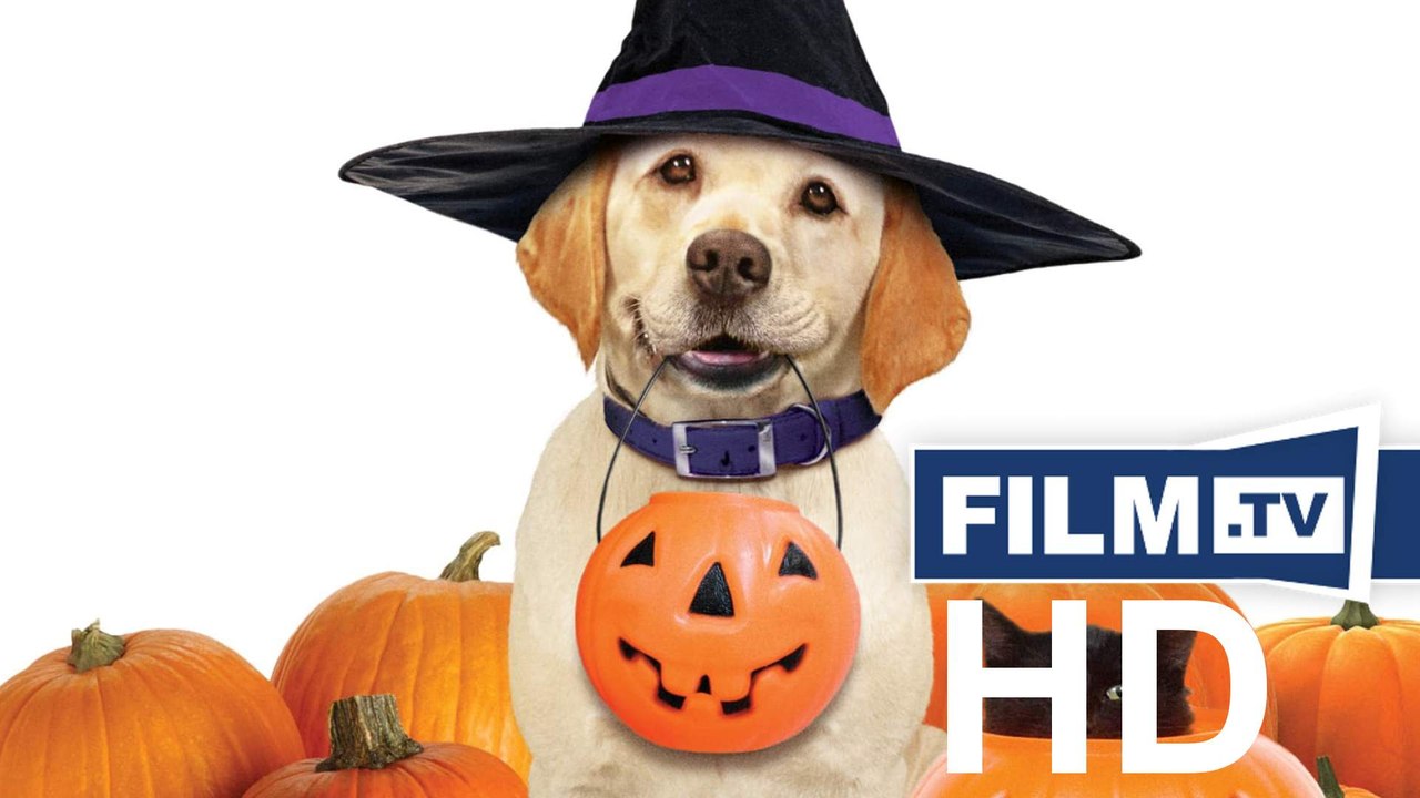 Ein Hund Rettet Halloween Trailer Deutsch German (2013) zum Film
