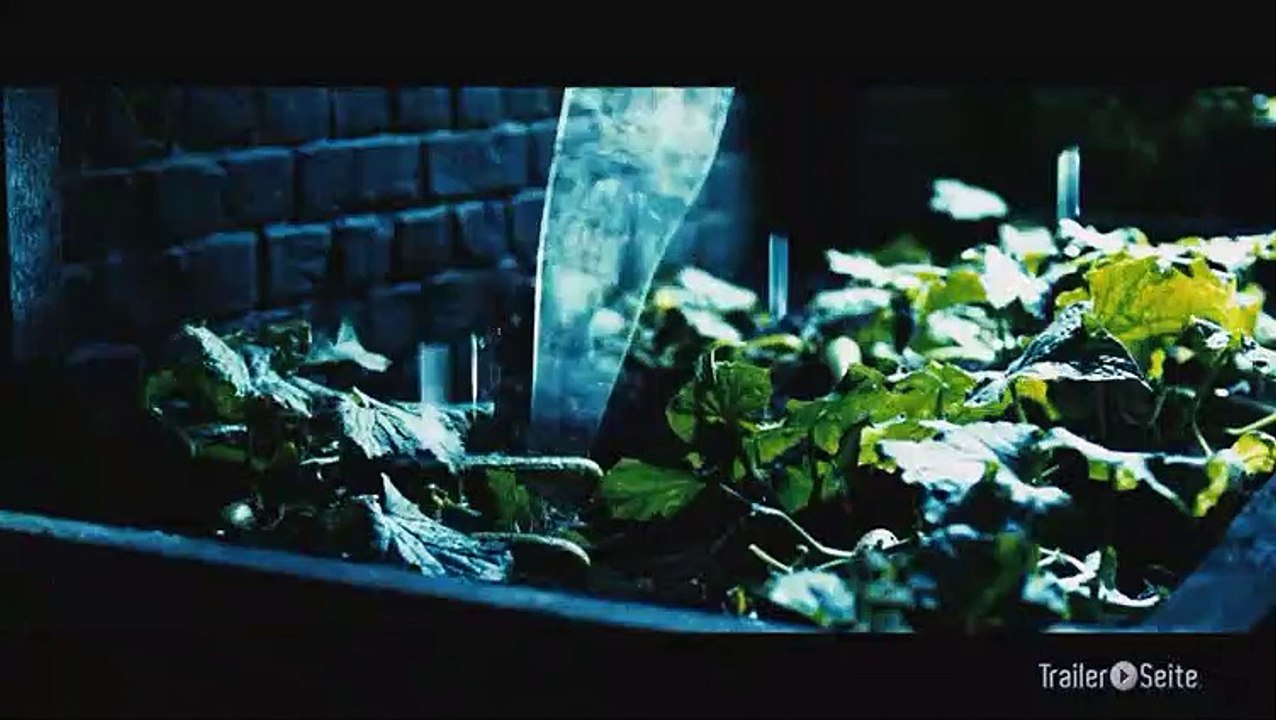 Special zu Der Geschmack von Apfelkernen: Die Story