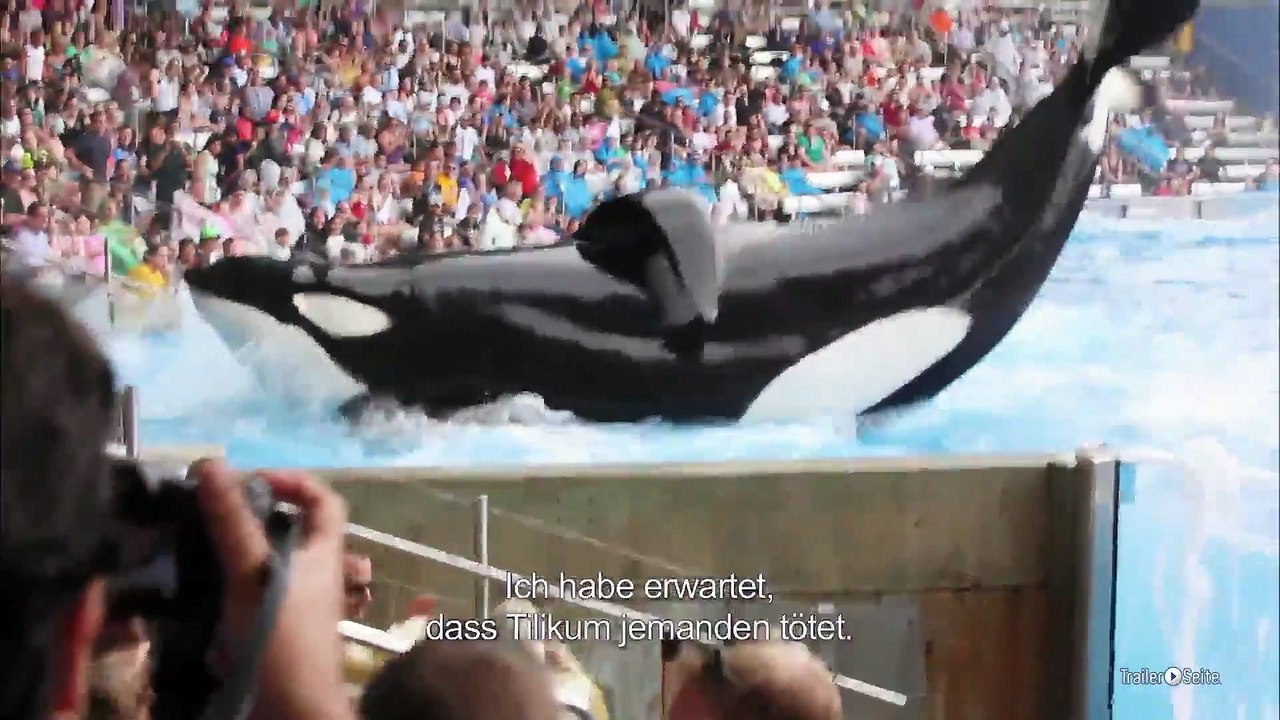 Blackfish Trailer und Filmkritik (2013)