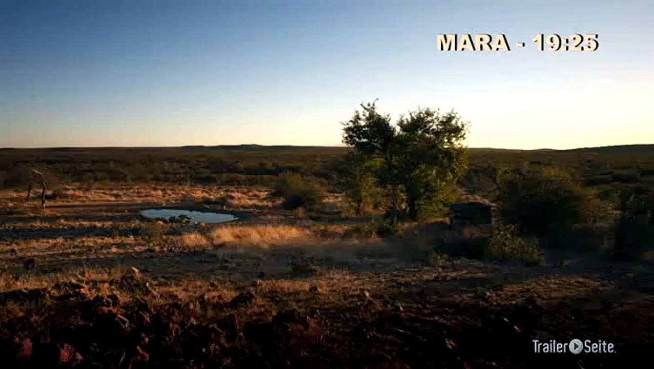 Ausschnitt aus African Safari 3D: scheue Spitzmaulnashörner