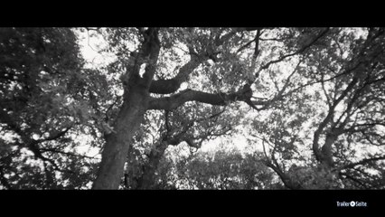 Das Mädchen Und Der Künstler Trailer (2013)