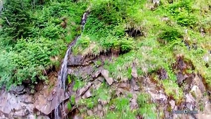 Best Of Faszination Blauer Planet 3D Trailer (2014)