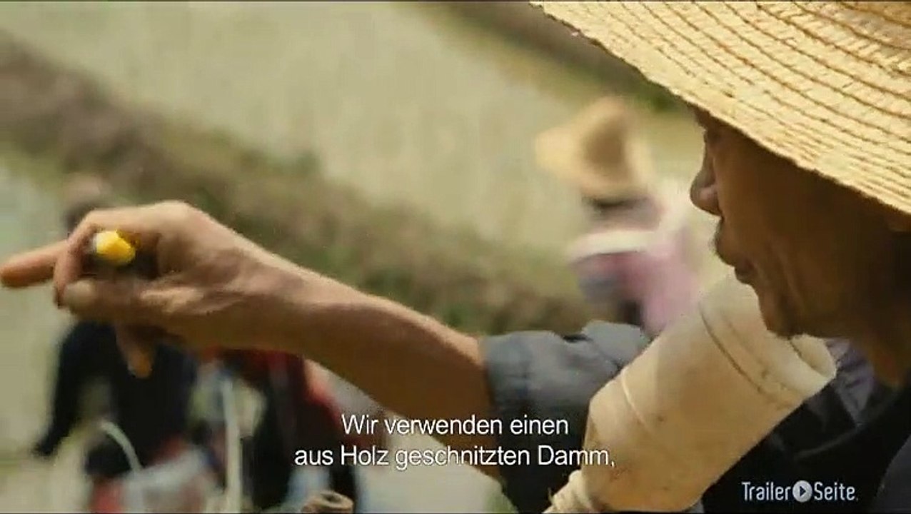 Ausschnitt aus Watermark: Reisfelder In China