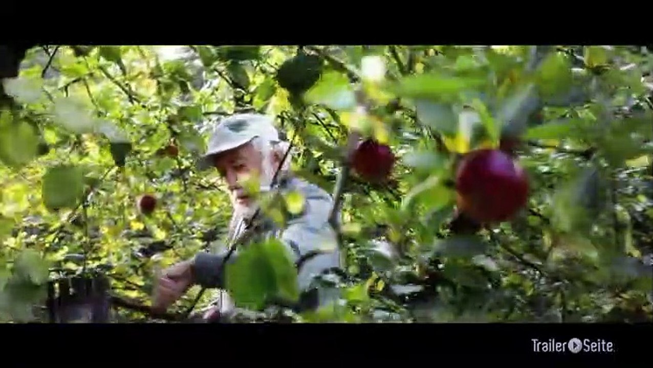 Ausschnitt aus Sein Letztes Rennen: Der Sturz