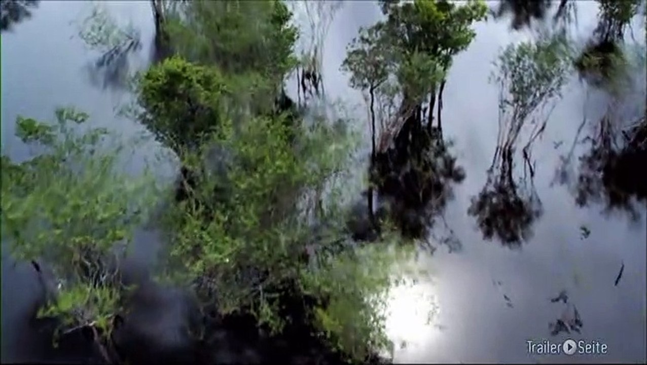 Ausschnitt aus Amazonia: Regenzeit