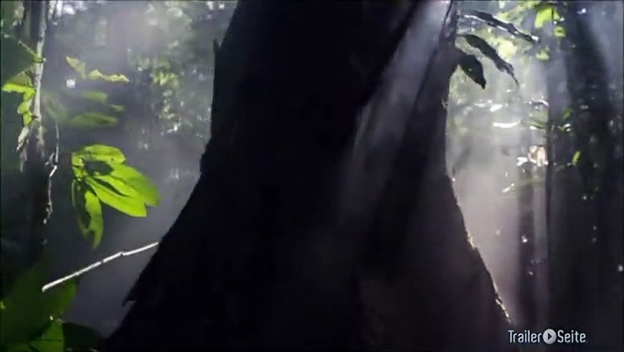 Ausschnitt aus Amazonia: Über den Amazonas