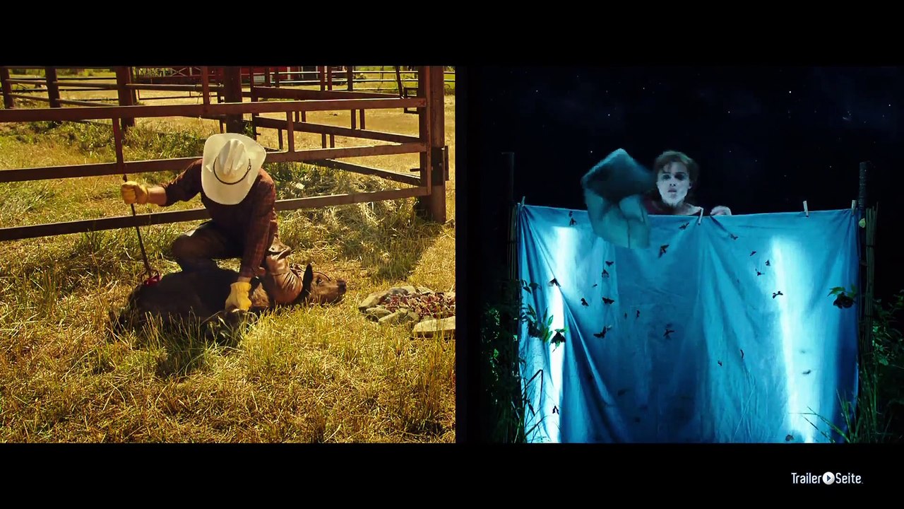 Die Karte Meiner Träume Trailer und Filmkritik (2014)