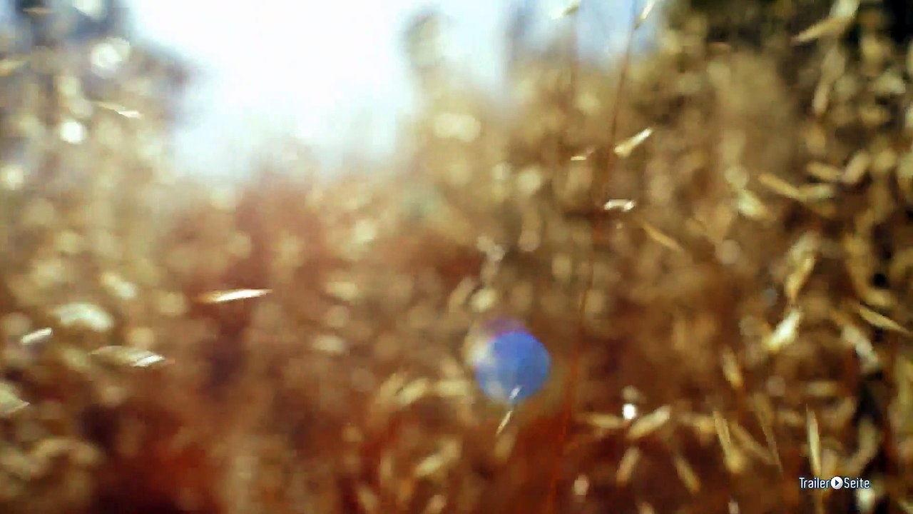 Mr. Jones Trailer (2014)