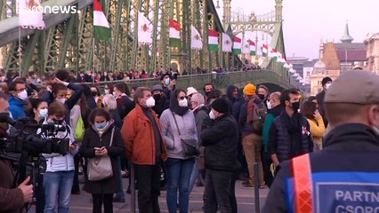 Az SZFE-ért tüntetnek