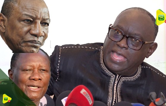 « Ces présidents africains qui cherchent un troisième mandat sont des idiots, des singes »