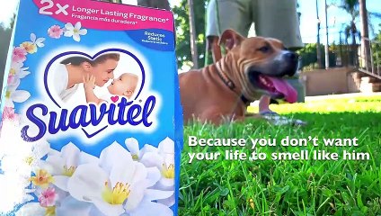 Micro+Budget+Product+Videos