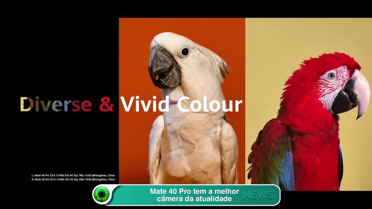 Mate 40 Pro tem a melhor câmera da atualidade