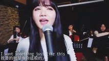 The Chainsmokers & Coldplay - Something Just Like This 如此而已 _ Cover by Iris Liu