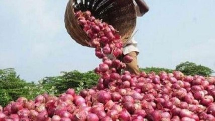 Maharashtra: Onion prices soar in Pune amid supply crunch