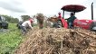 Cosecha de granos básicos en ciclo de primera crece 11.8% en Nicaragua