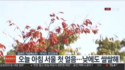 [날씨] 서울 첫 얼음 관측…낮에도 쌀쌀한 날씨