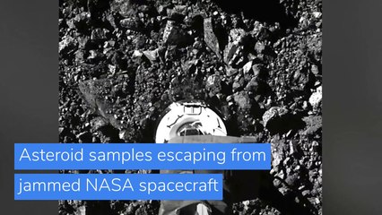 Asteroid samples escaping from jammed NASA spacecraft, and other top stories in US news from October 24, 2020.
