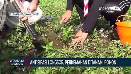 Antisipasi Longsor, Bumi Perkemahan Ditanami Pohon