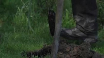 Heineken se vuelca en los humedales de Doñana y en la combinación de olivares y cebadales