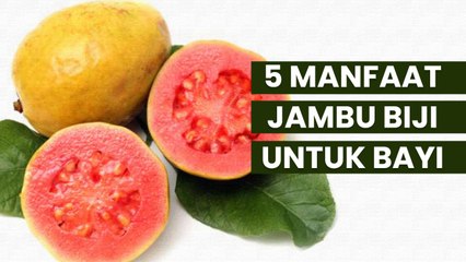 Ternyata Ini 5 Manfaat Jambu Biji untuk Bayi Anda
