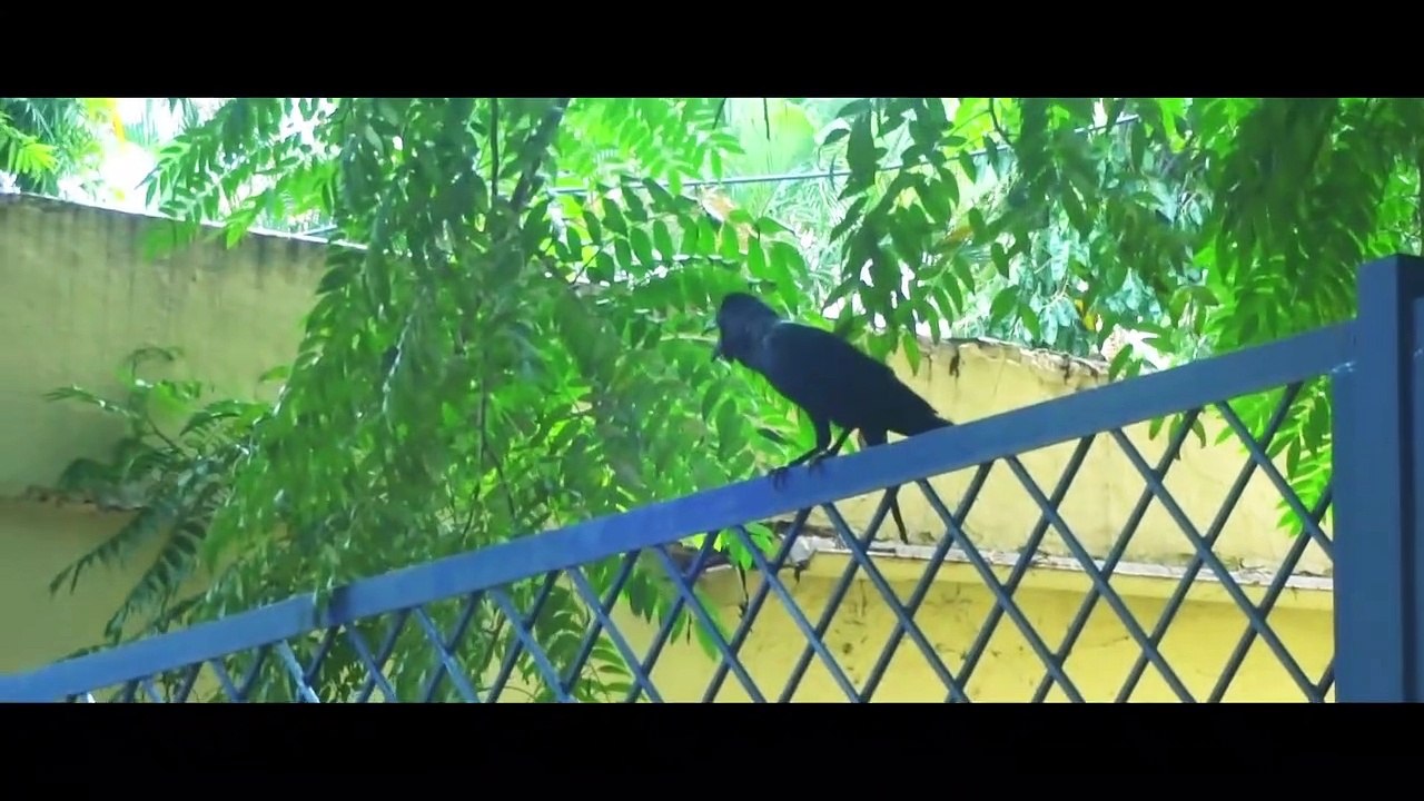 Uttaram  Telugu Short film
