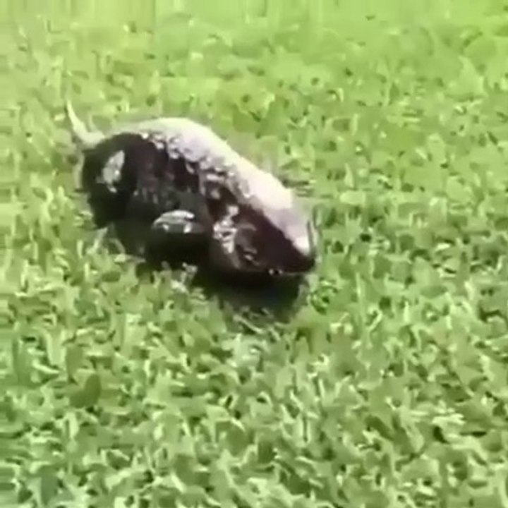 Hey!! Watch Out!!!