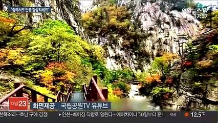 집에서도 단풍 즐긴다…"자연의 소리도 감상해요"