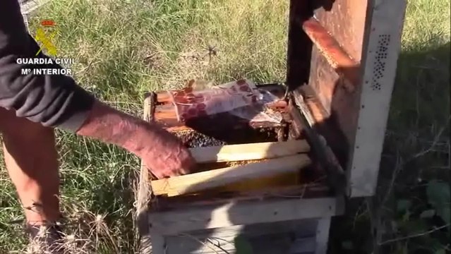 Dos personas detenidas en Ibiza por delitos relacionados con la venta de miel