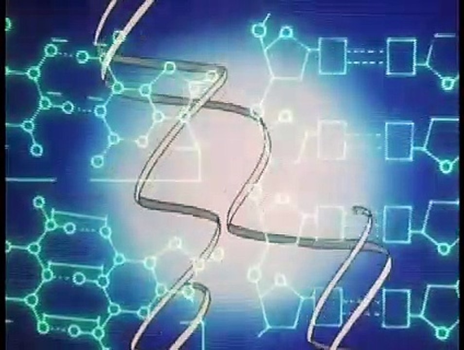 真三一 3
