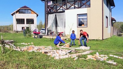 Domesticated foxes in Siberia offer scientific insights