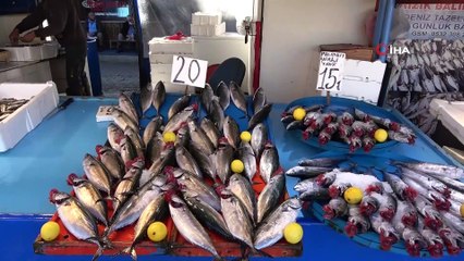 Balık halinde fiyat rekoru hamside