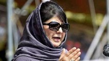 Complaint filed against Mehbooba Mufti over her controversial flag remarks