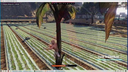 Fivem Tr Serverleri 50 Legal Meslek-1