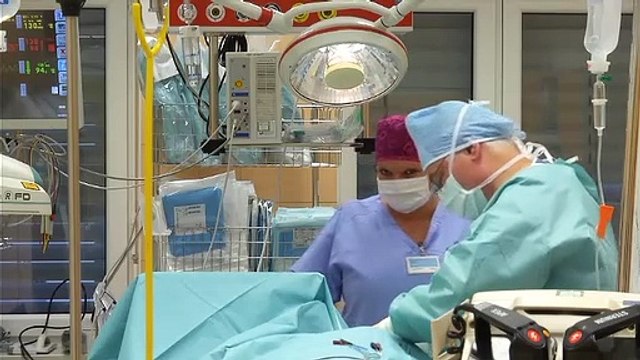 Coronavirus: Czech army sets up 500-bed field hospital in anticipation of COVID-19 surge