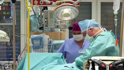 Coronavirus: Czech army sets up 500-bed field hospital in anticipation of COVID-19 surge